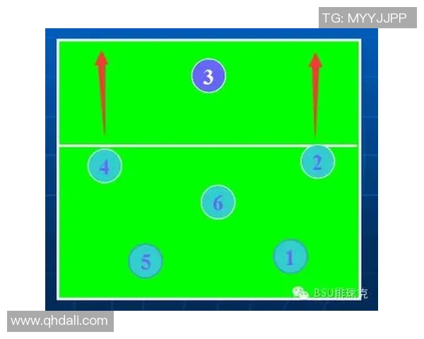 广州排球队运营体系下的排球战术创新与实践探索